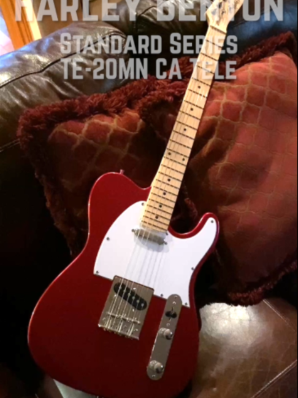 @GuitarNiche.Tech