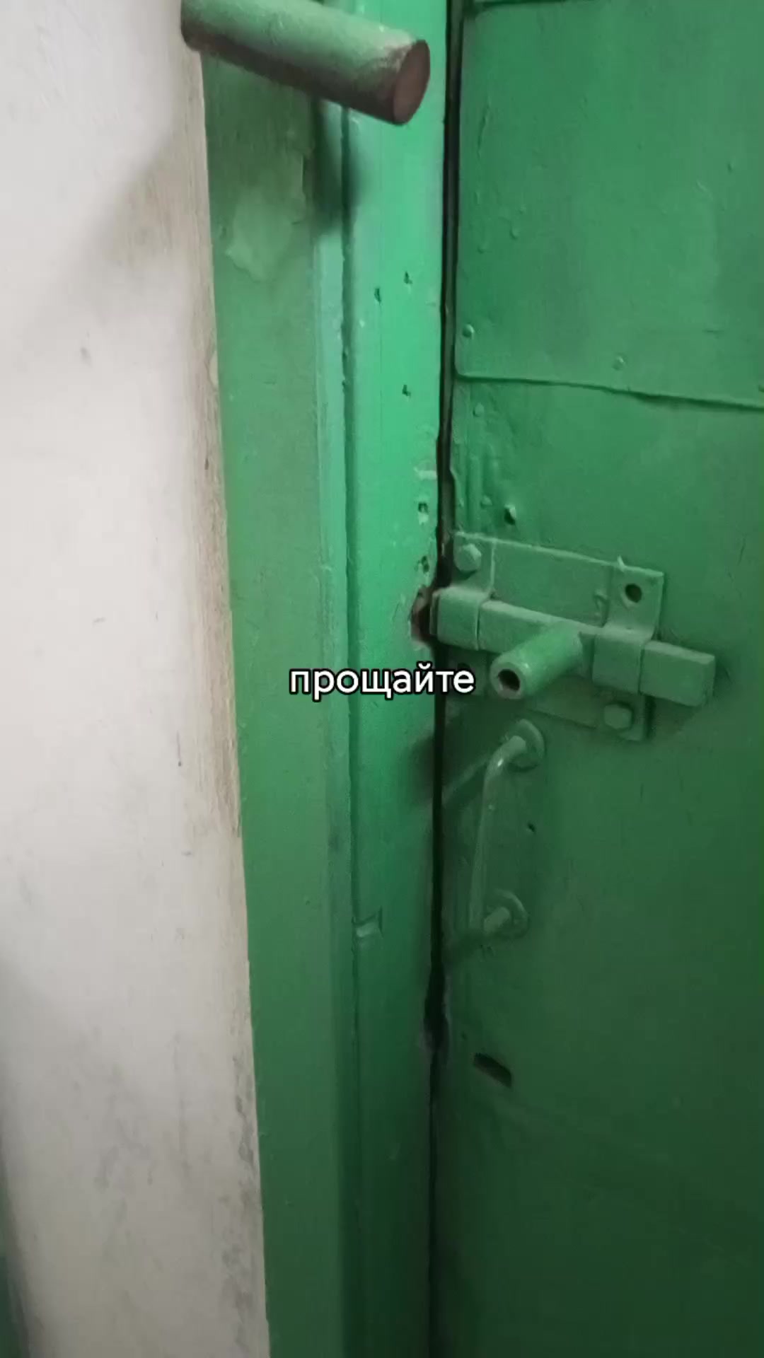 @мертвый кот