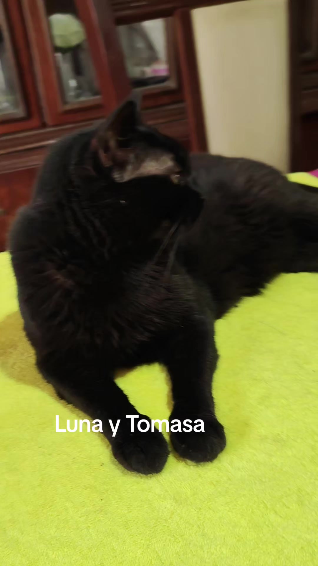 @Jorge Lopez