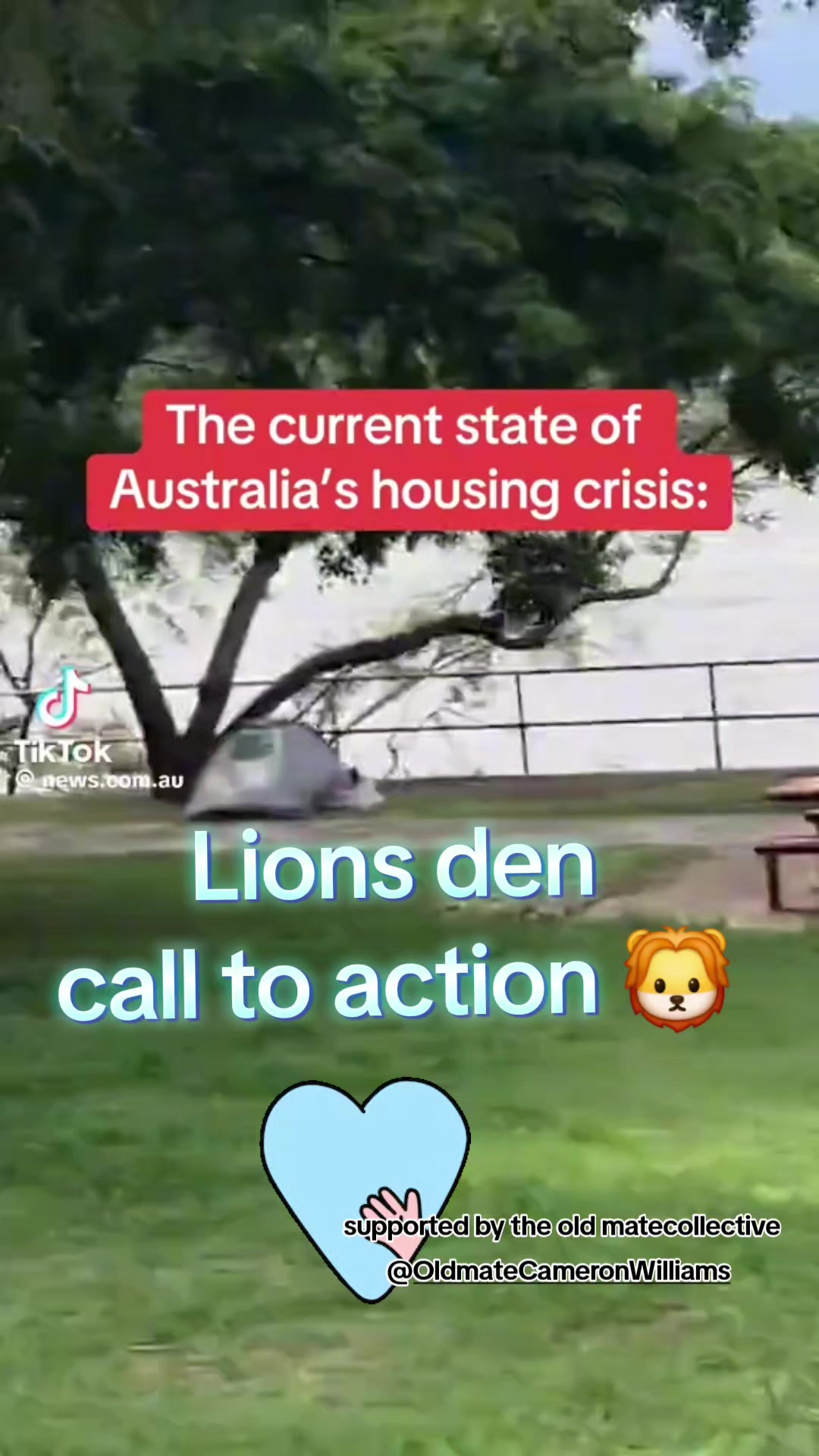 @Daniel the lion 🦁