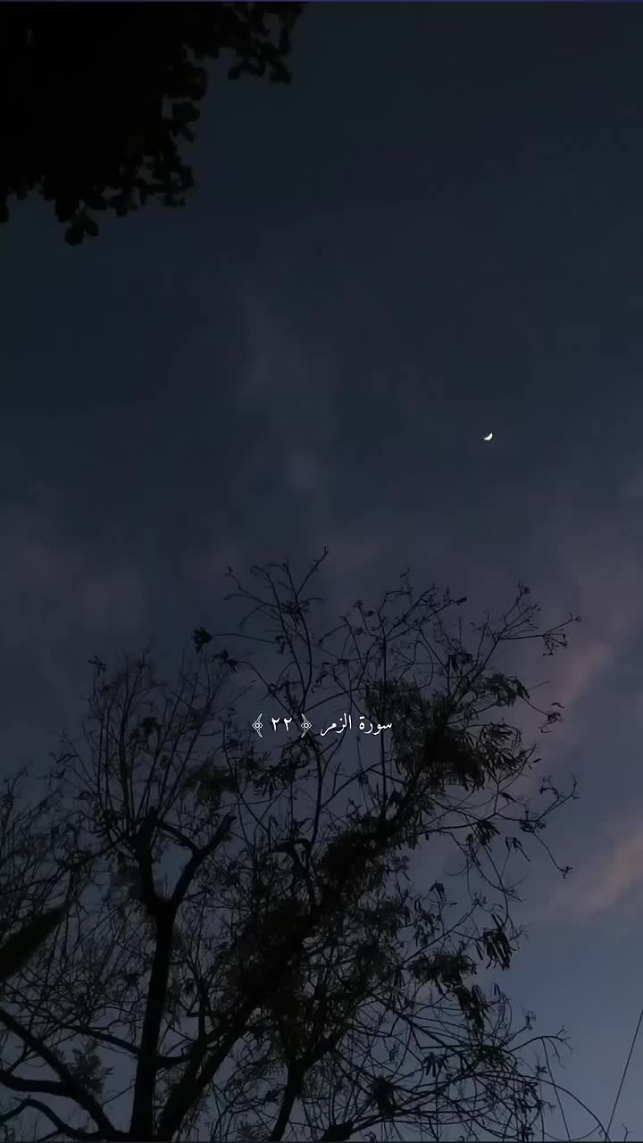 @طارق العمري