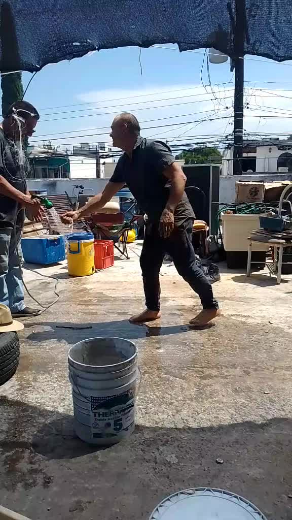 @Willy Omar Pérez