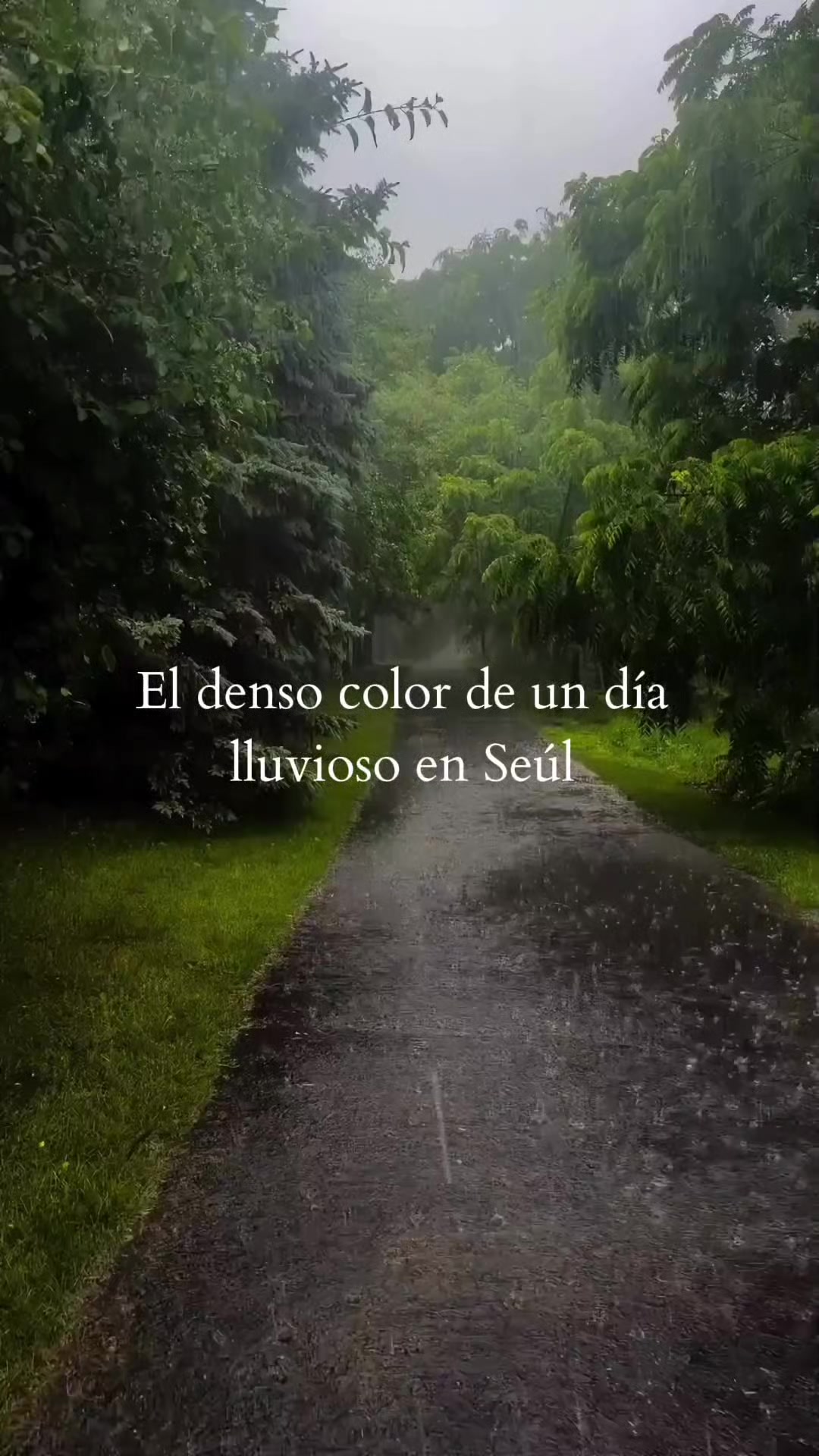 @♡Min_79♡