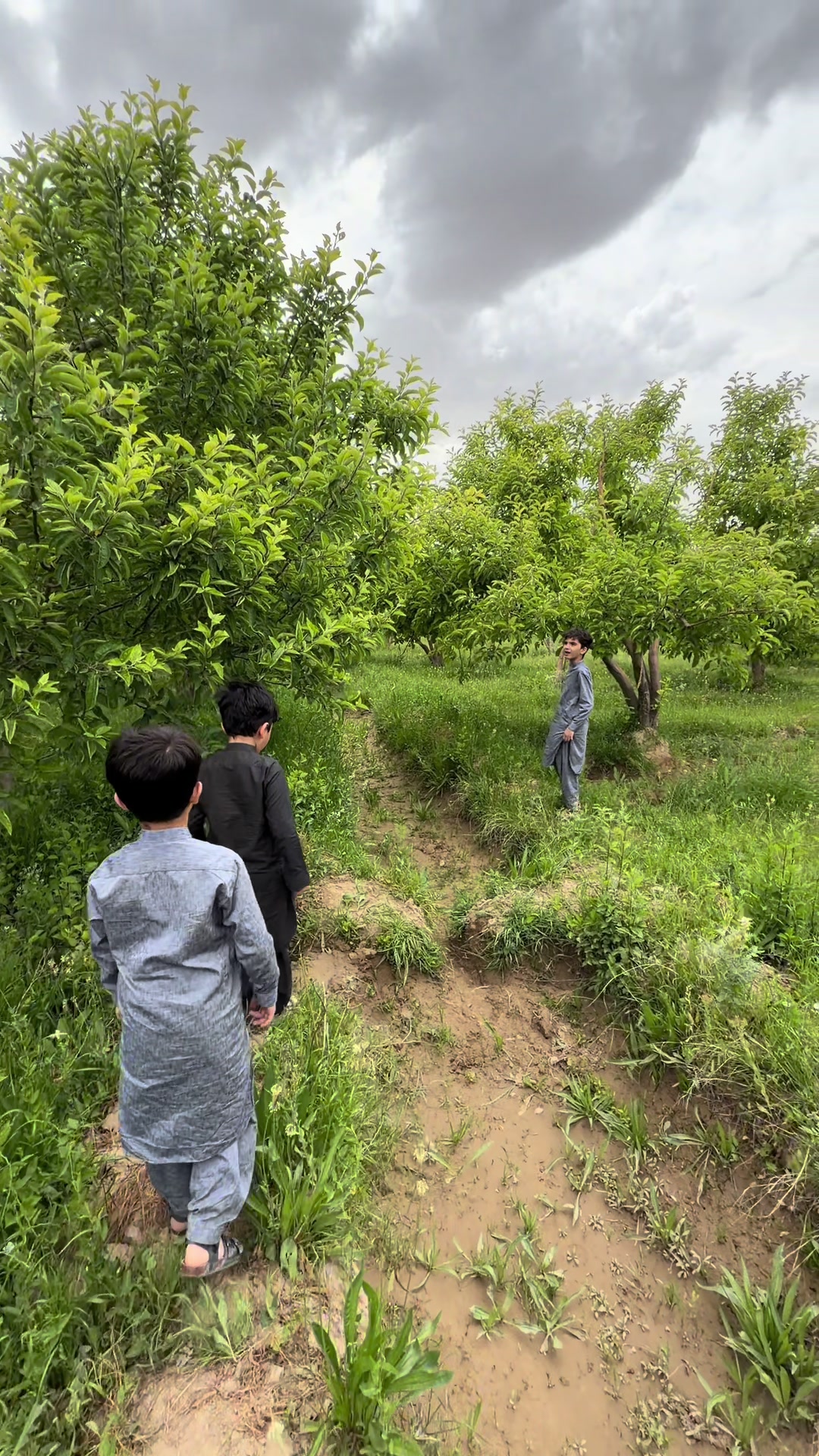 @Pakistan Tour