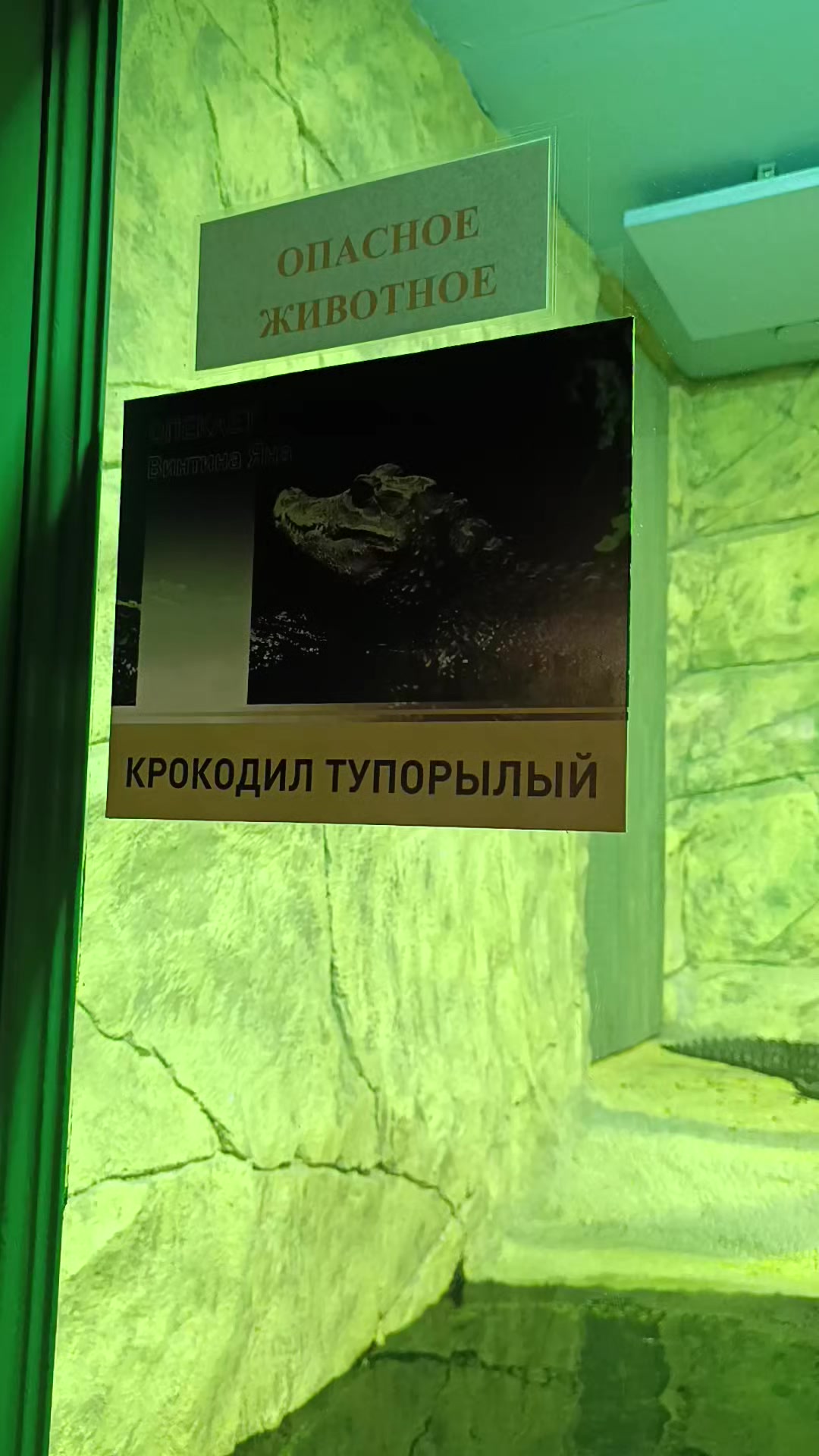 @Элодея