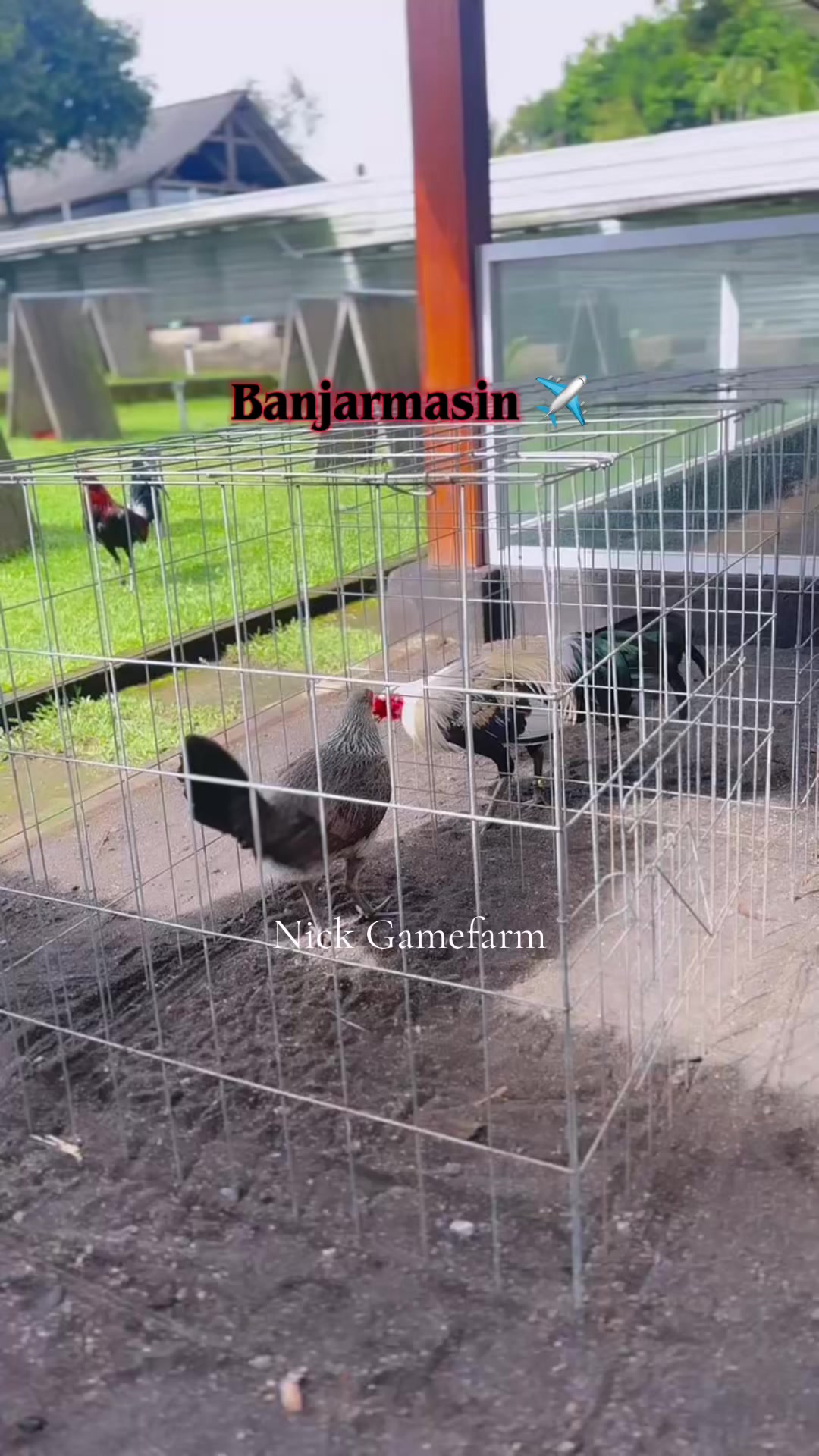@NICK GAMEFARM