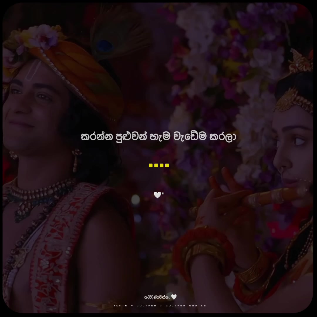 @𝐋𝐔 ︰𝐂𝐈 🤍