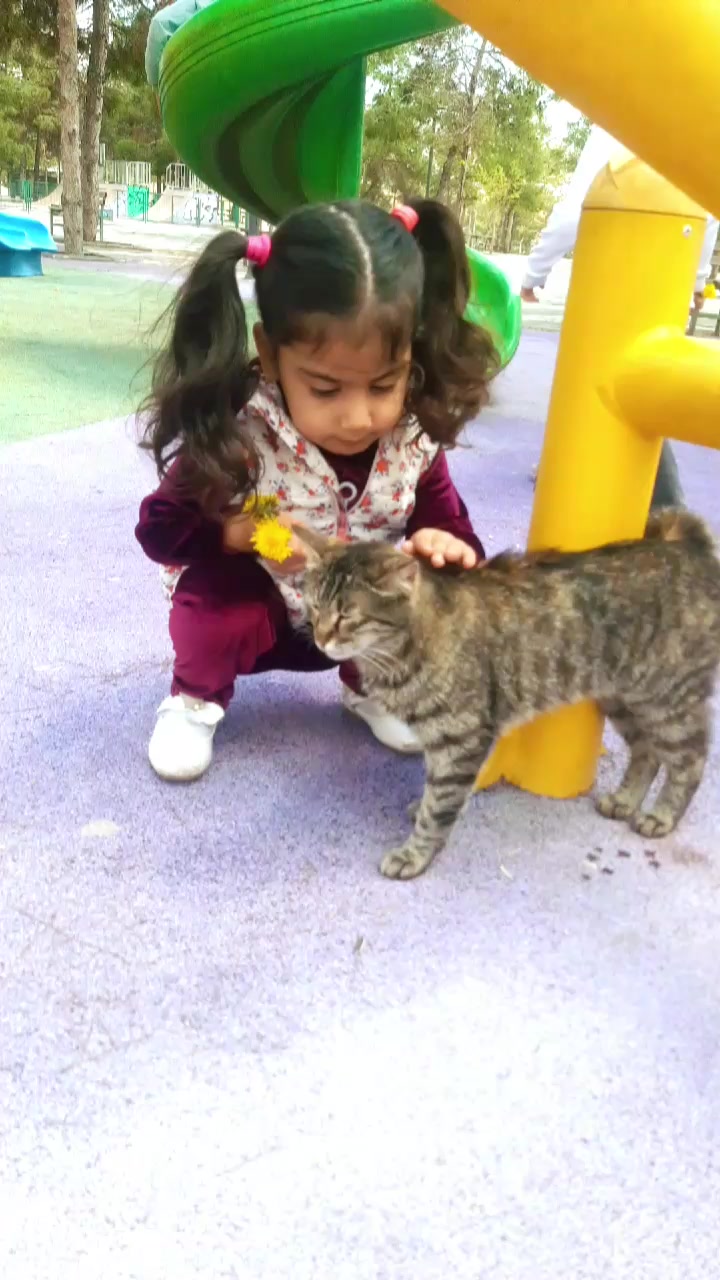 @Hazalikra