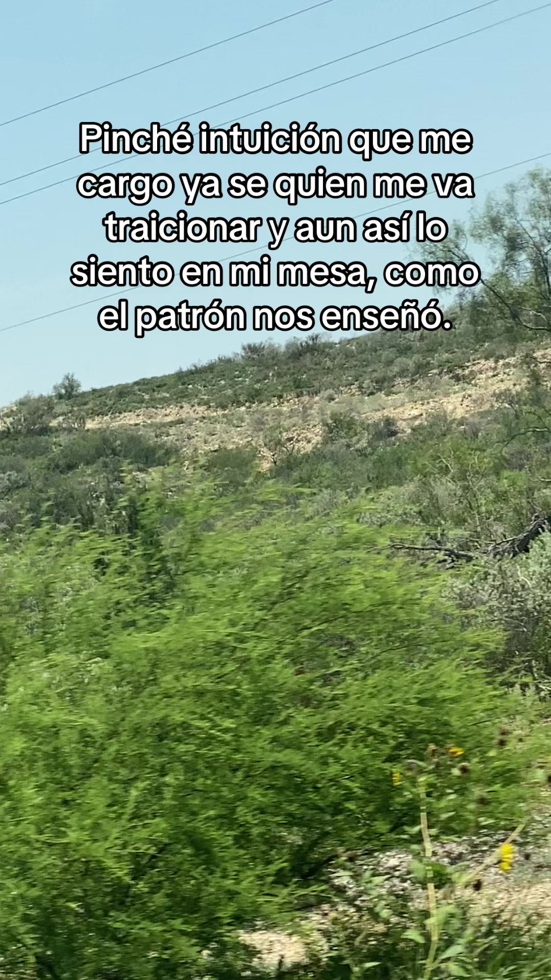 @Fernanda Hdz
