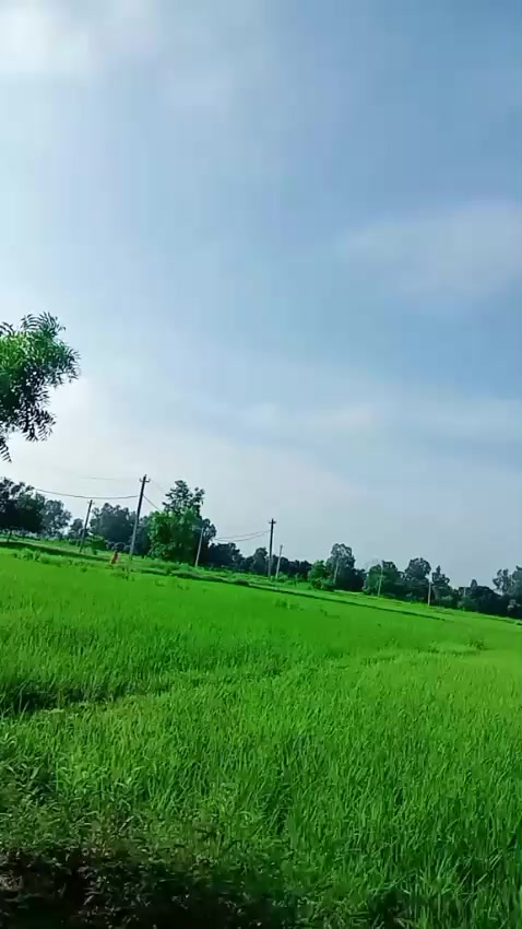 @thakursadhana000