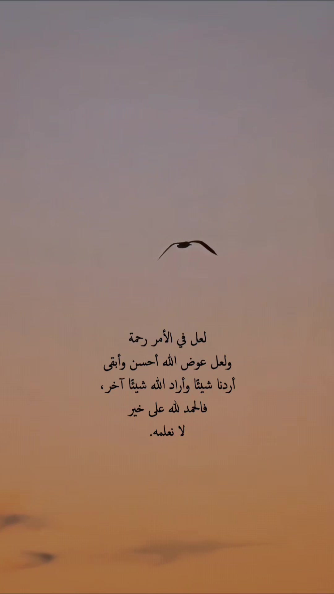 @حيدر الوائلي