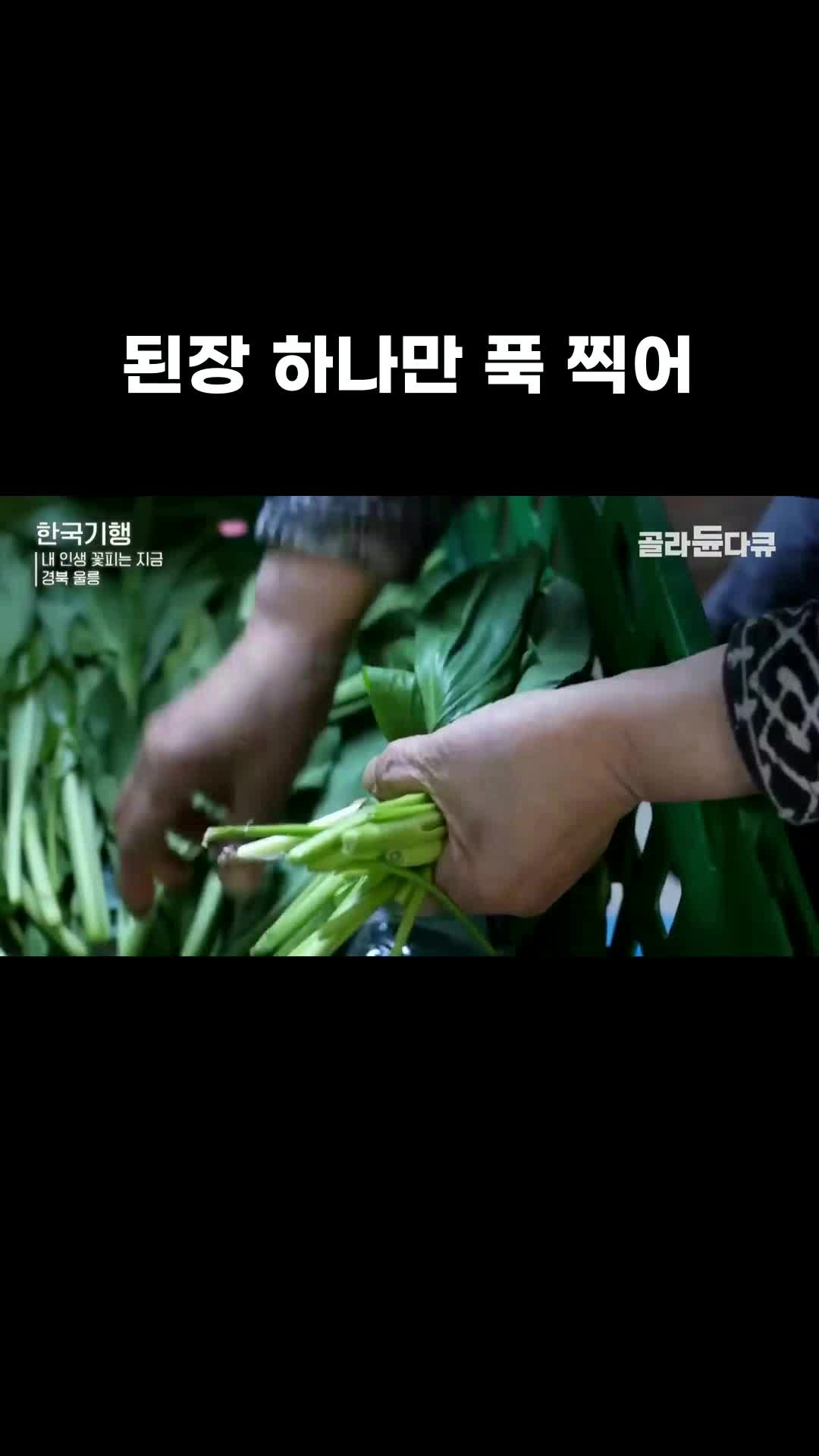 @EBS 다큐