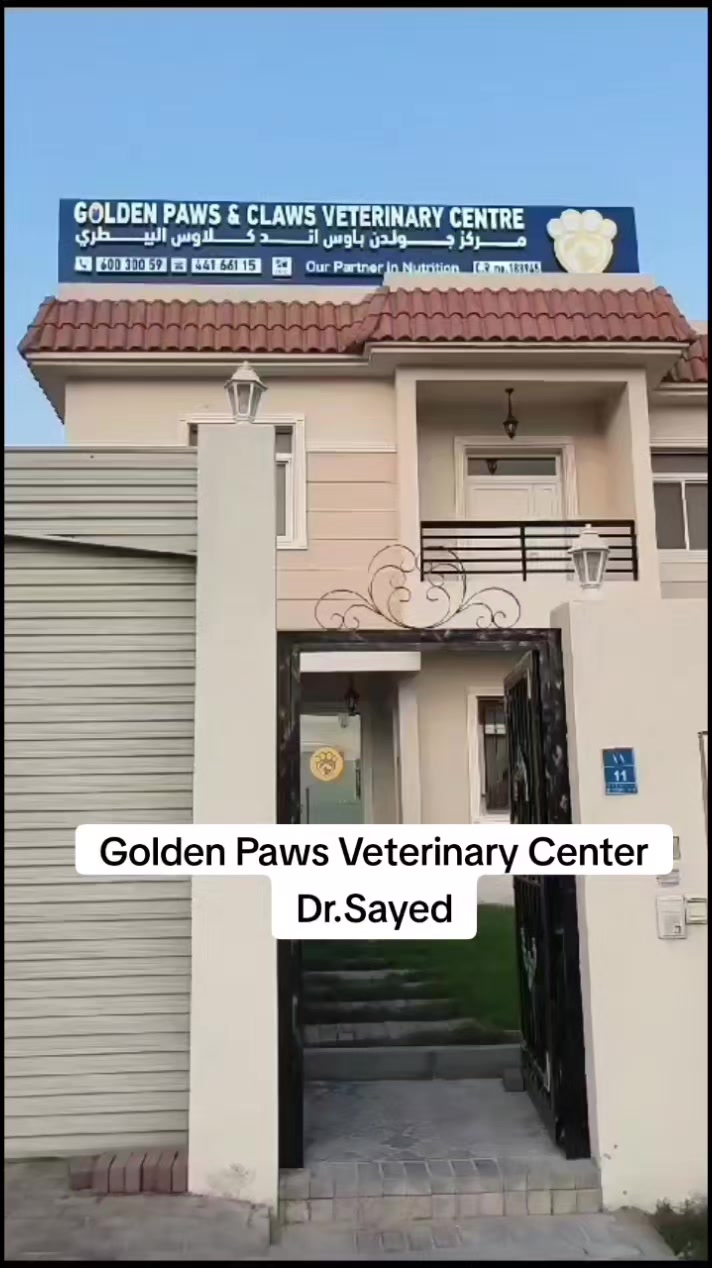 @wonderwoman Cats