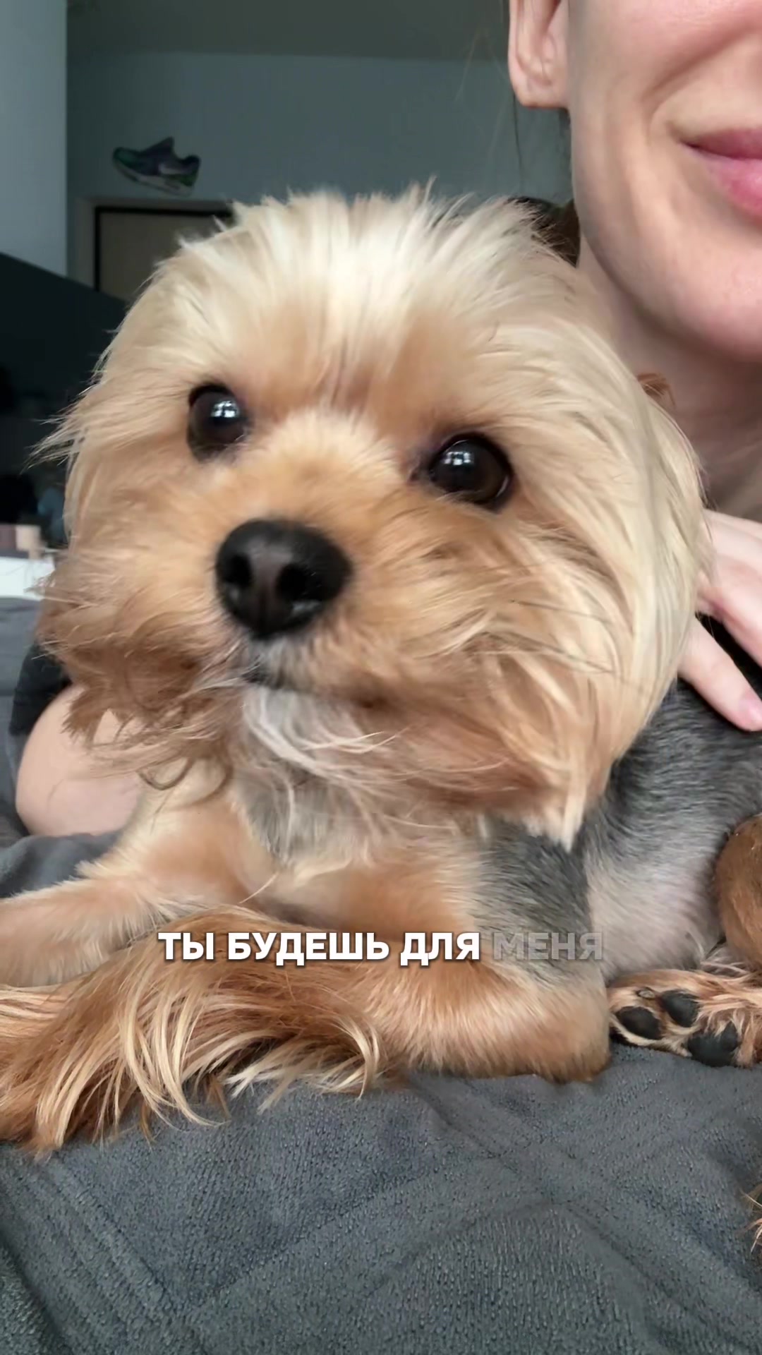 @лера и йорк толик