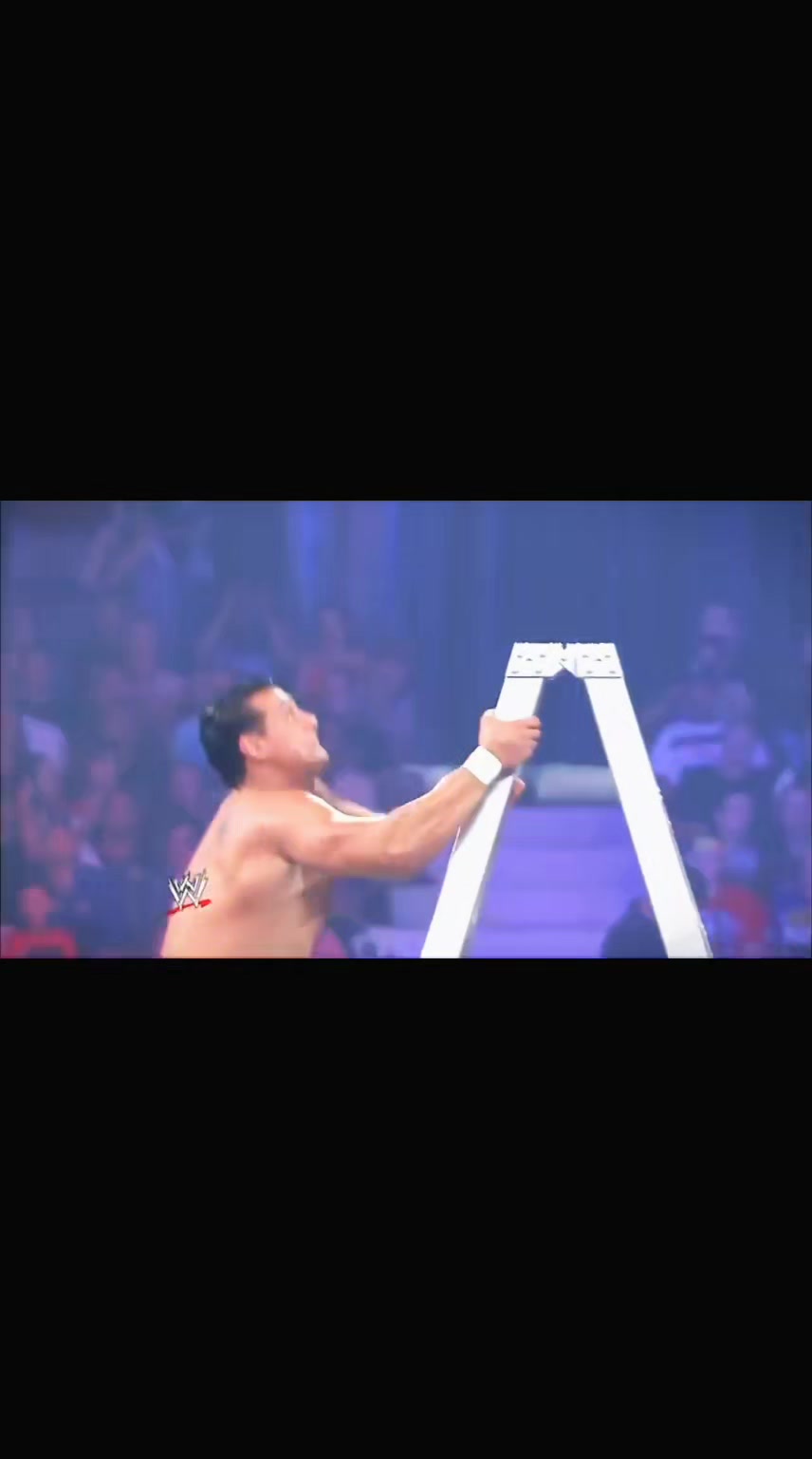 @wwe.story⚔قصص مصارعة