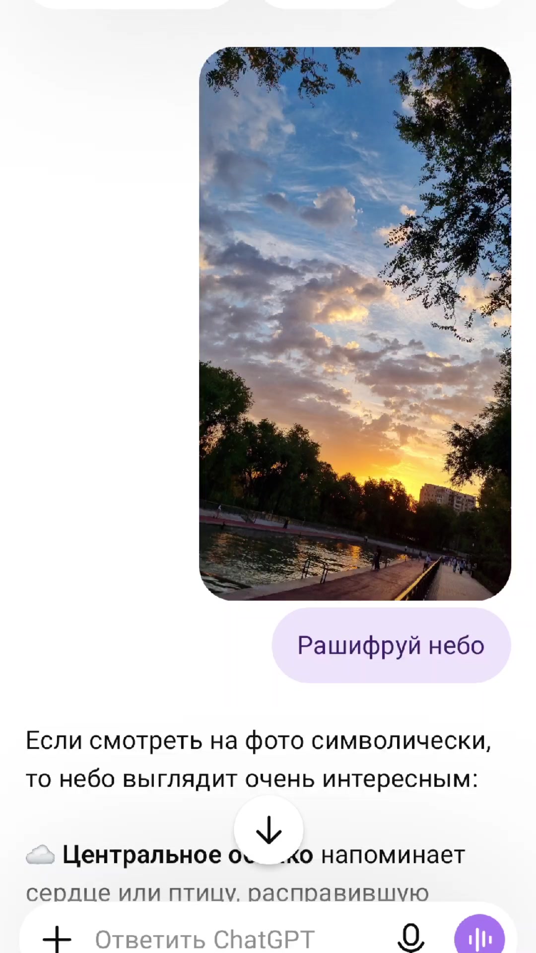 @lyan_svetlana_v