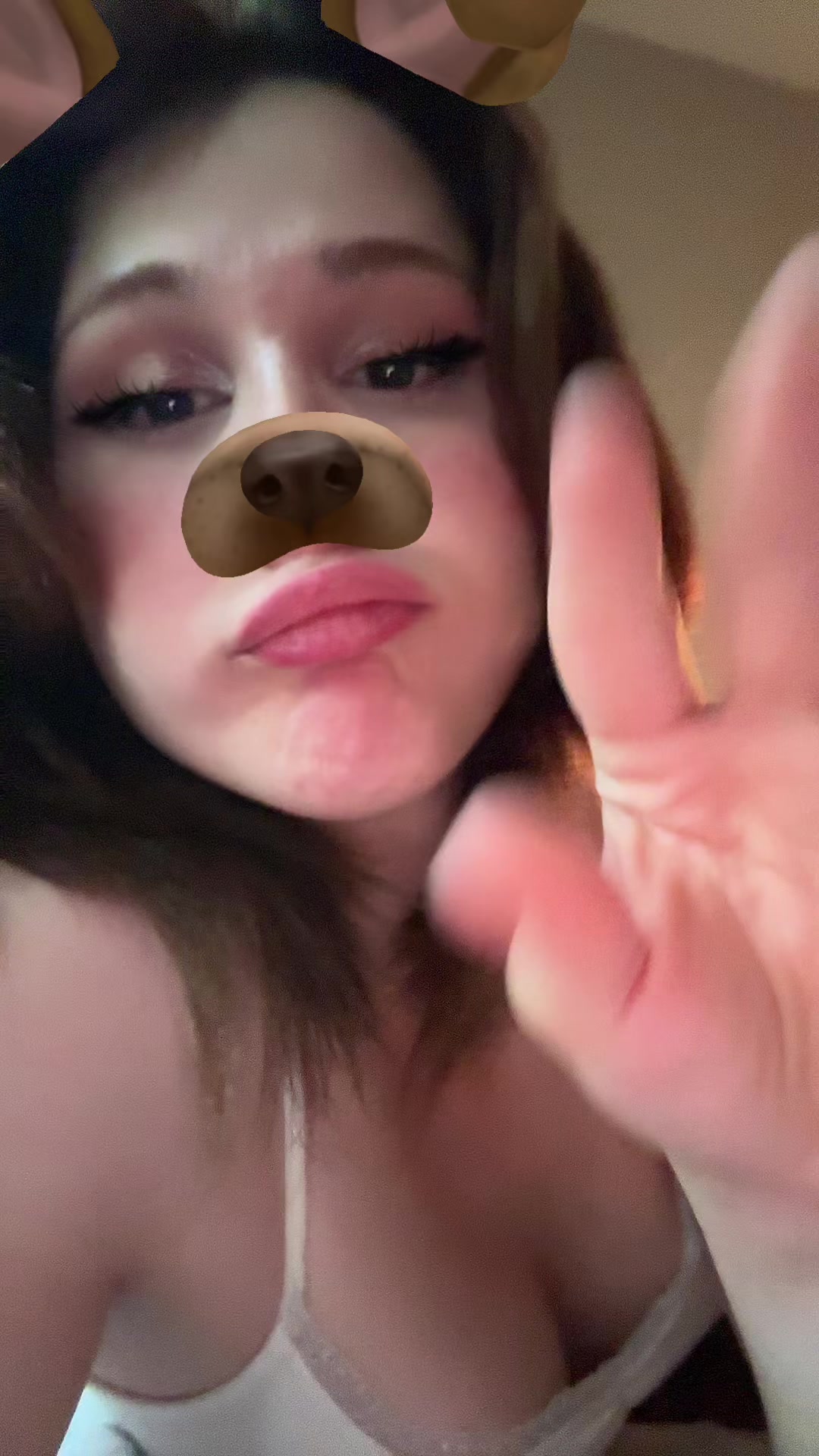@allarqx🚩