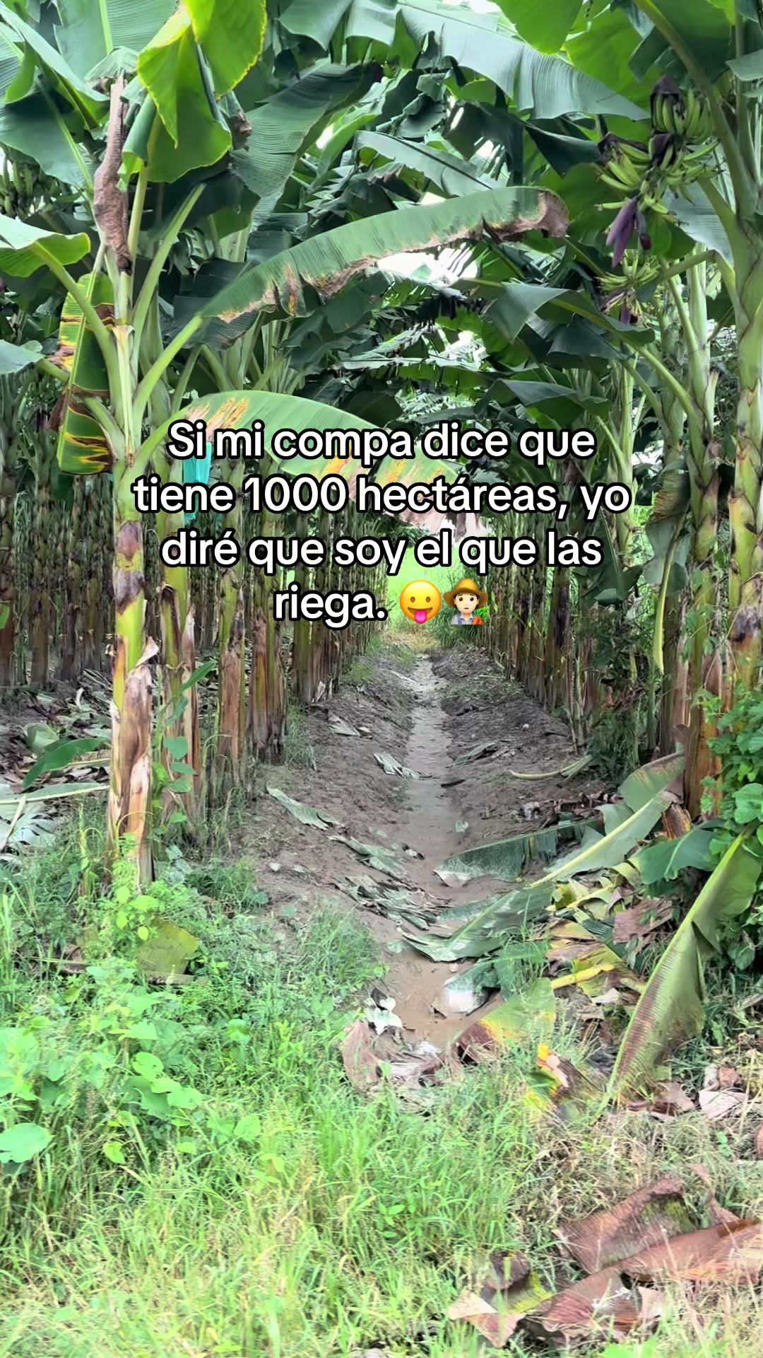 @Juan Felipe G 🧑🏻&zwj;🌾