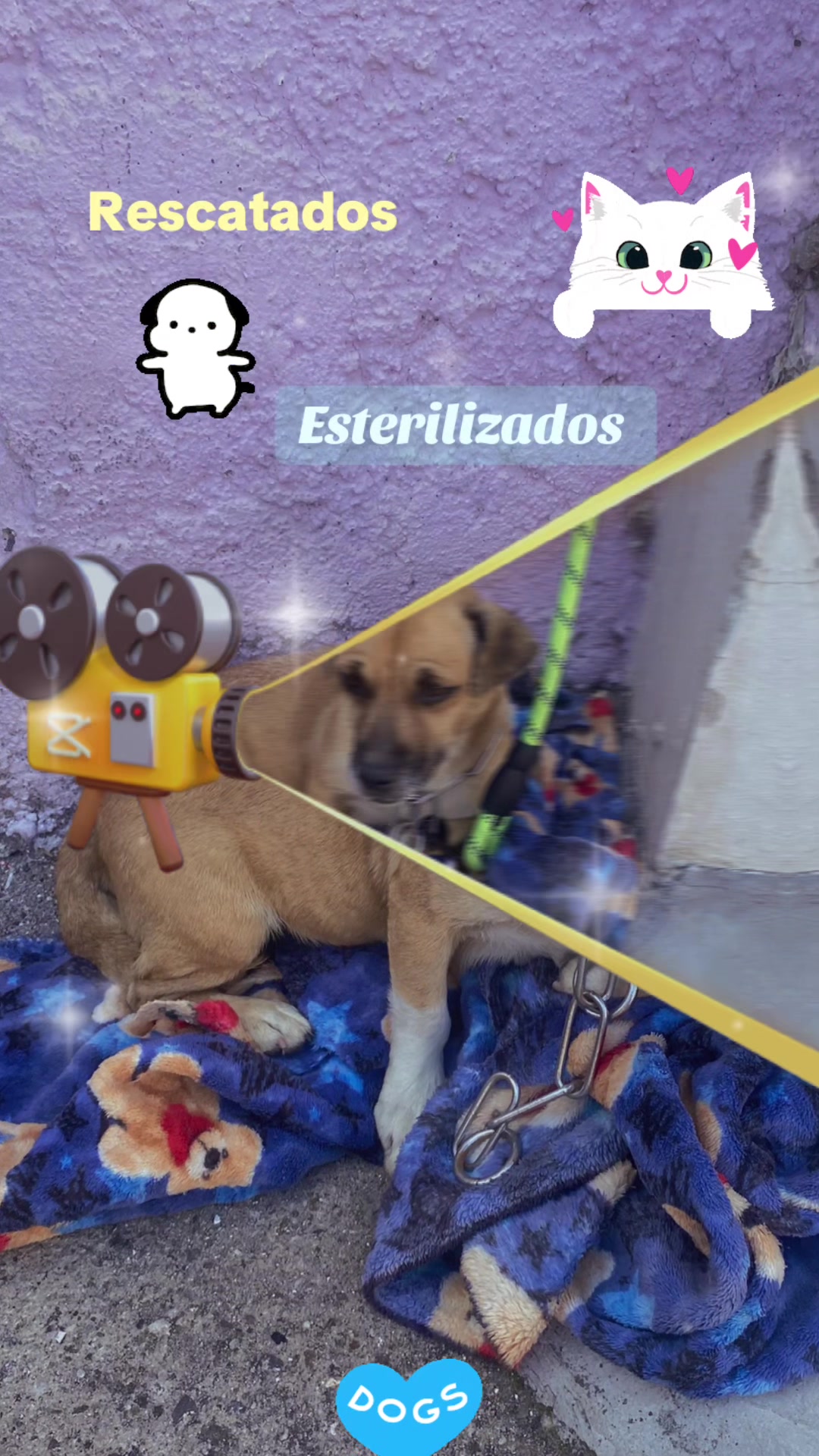 @Fitvzvn