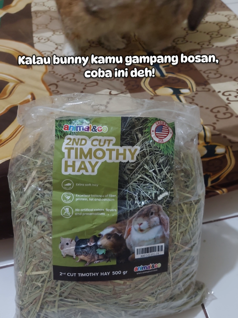 @Zada The Bunny