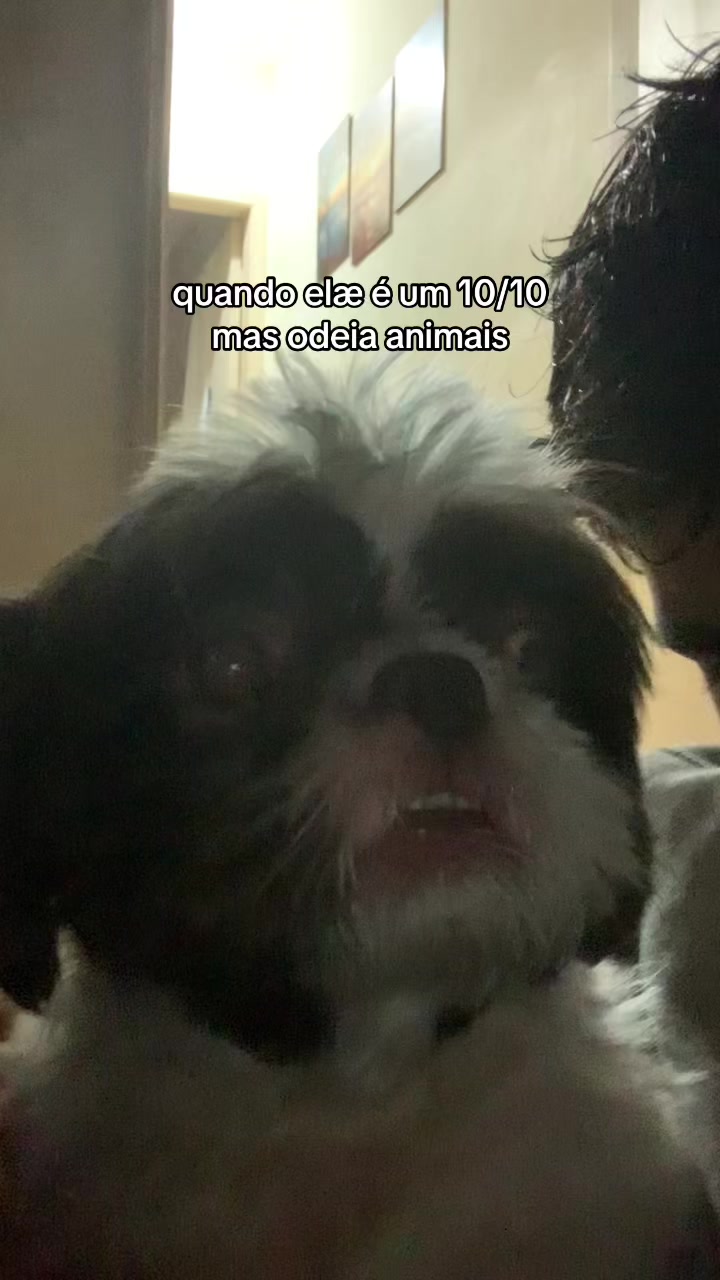 @vieira