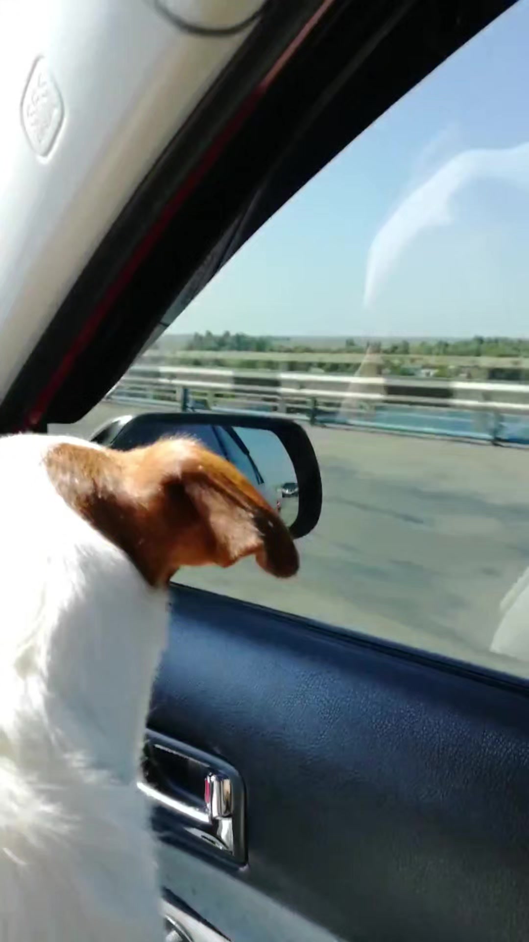@Джекрасел з Херсону ❤️