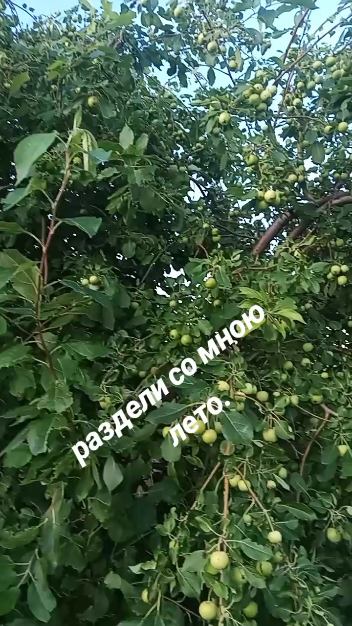 @💥ТРОФИМОВА В ДЕКРЕТЕ💥