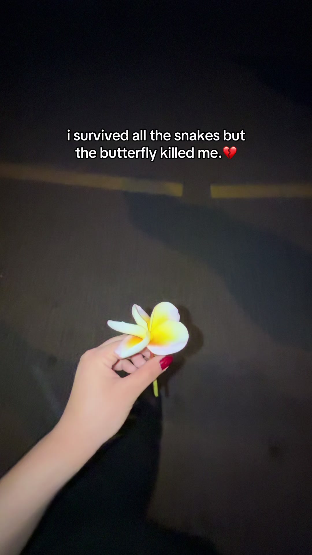@🎀