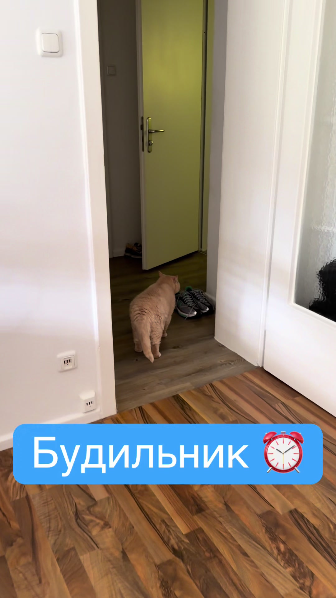 @Лева 😈