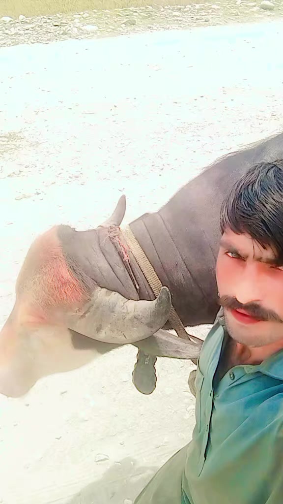 @ASAD Sarkar123