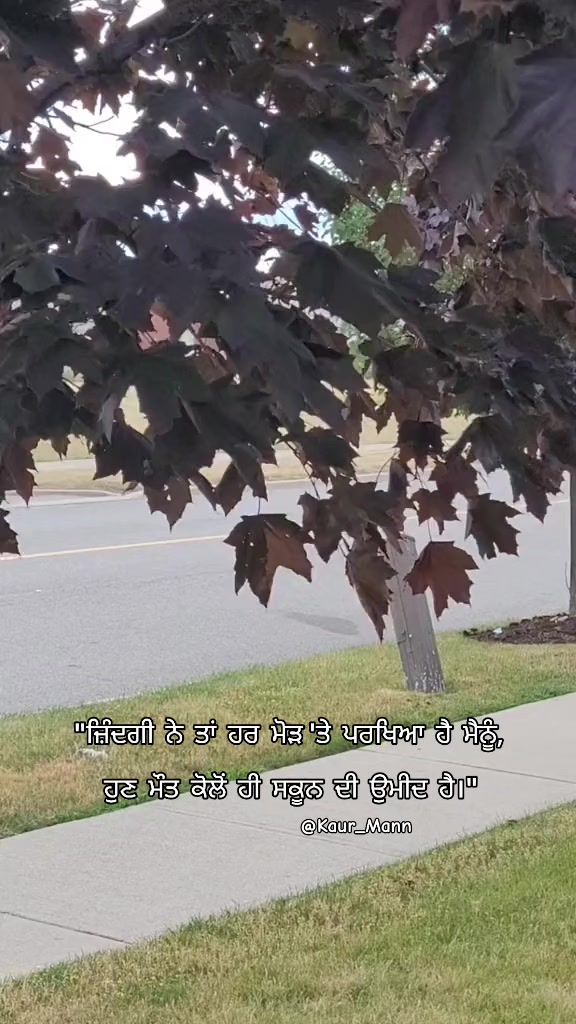 @𝕂𝕒𝕦𝕣 𝕄𝕒𝕟𝕟