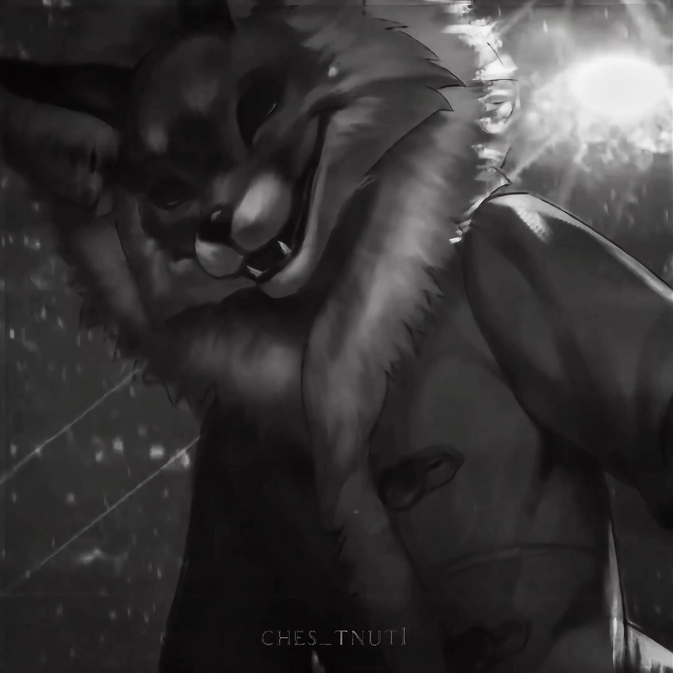 @𝐜𝐡𝐞𝐬_𝐭𝐧𝐮𝐭𝟏 ✰