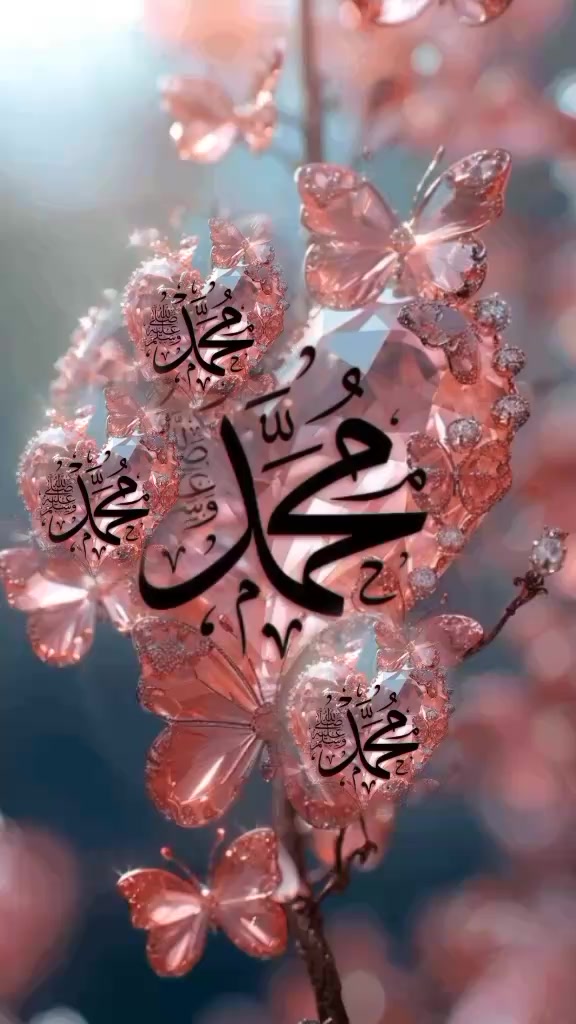 @Shaan Ali