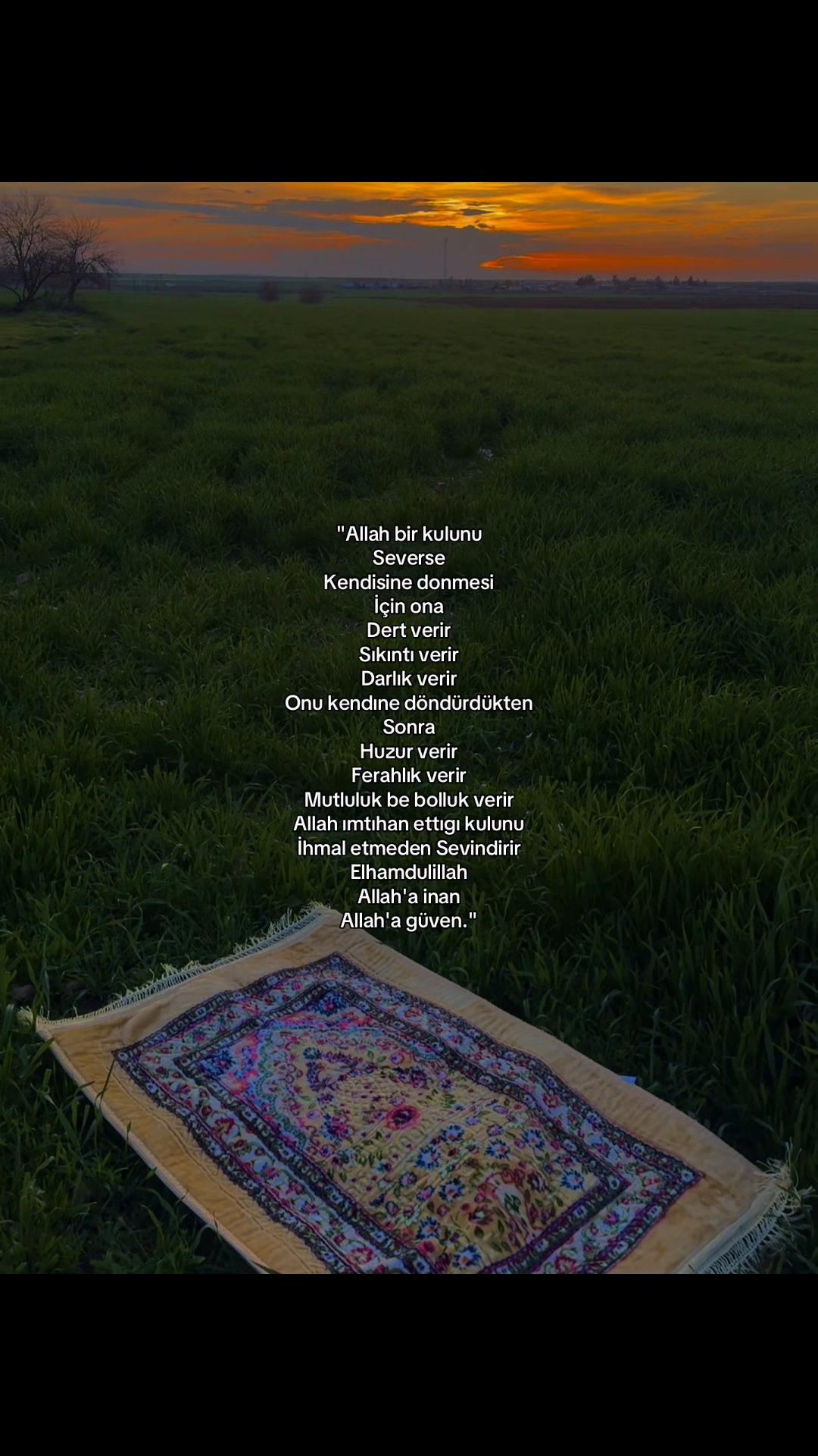 @𝓜