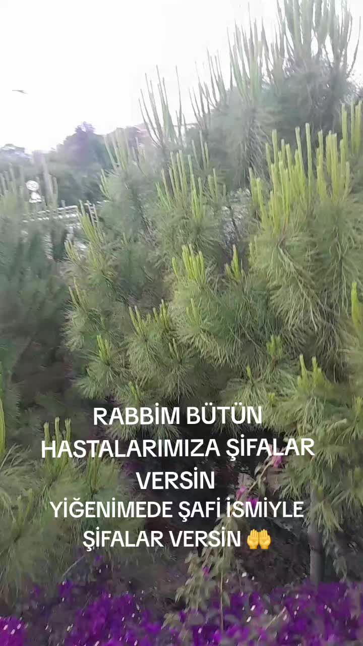 @Yasemin.oyku