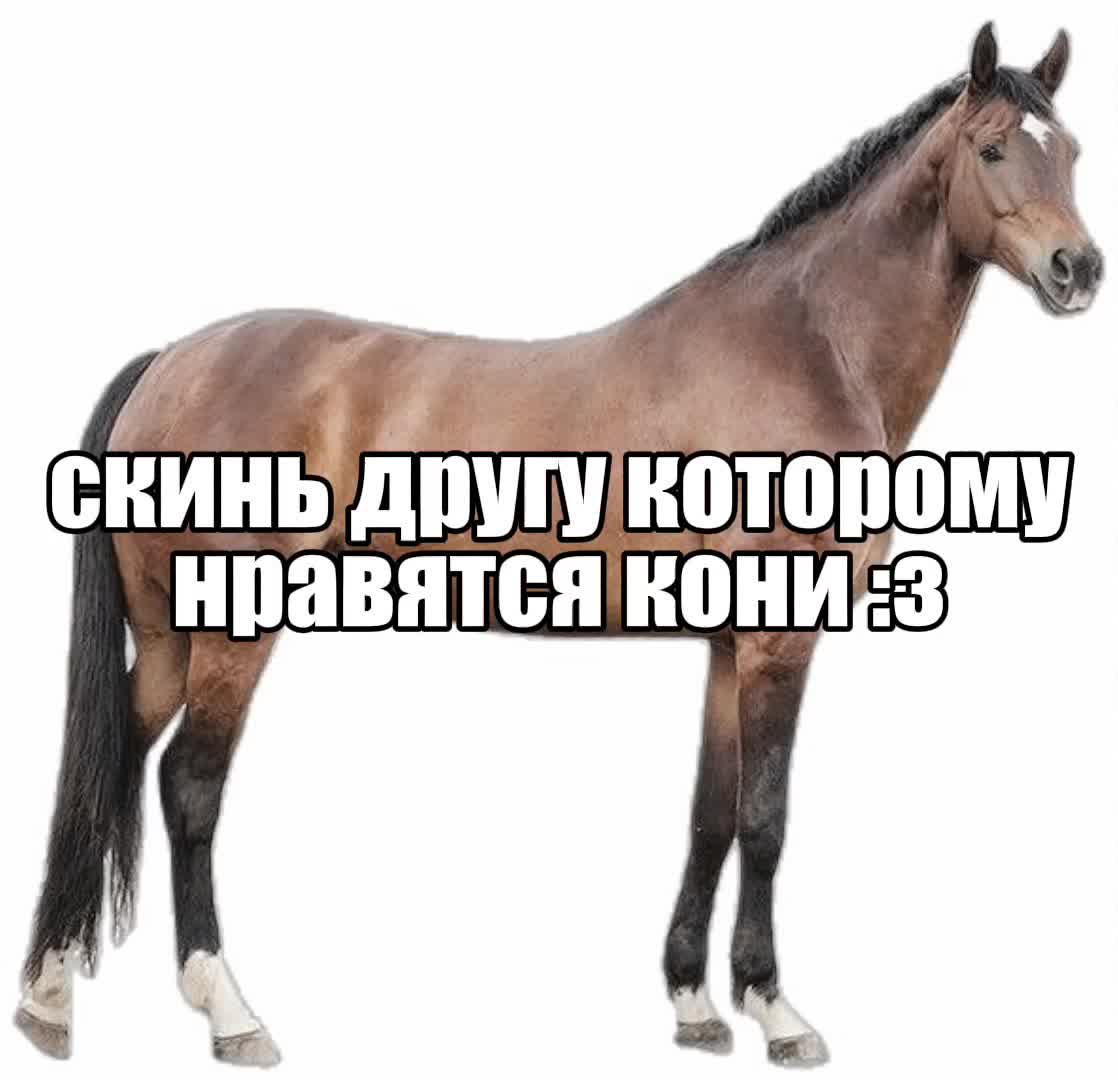 @user34901091111