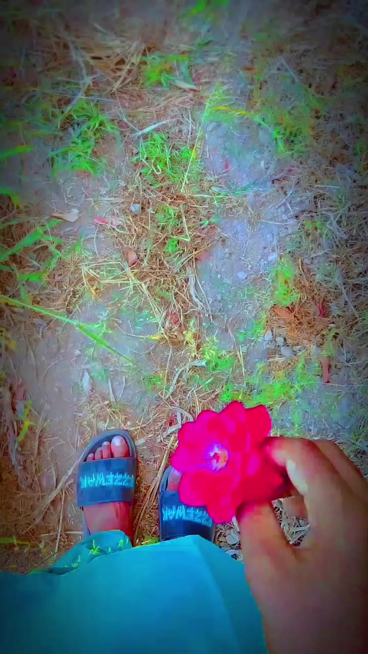 @𝗔𝗵𝘀𝗮𝗻 𝗕𝗵𝘂𝘁𝘁𝗼