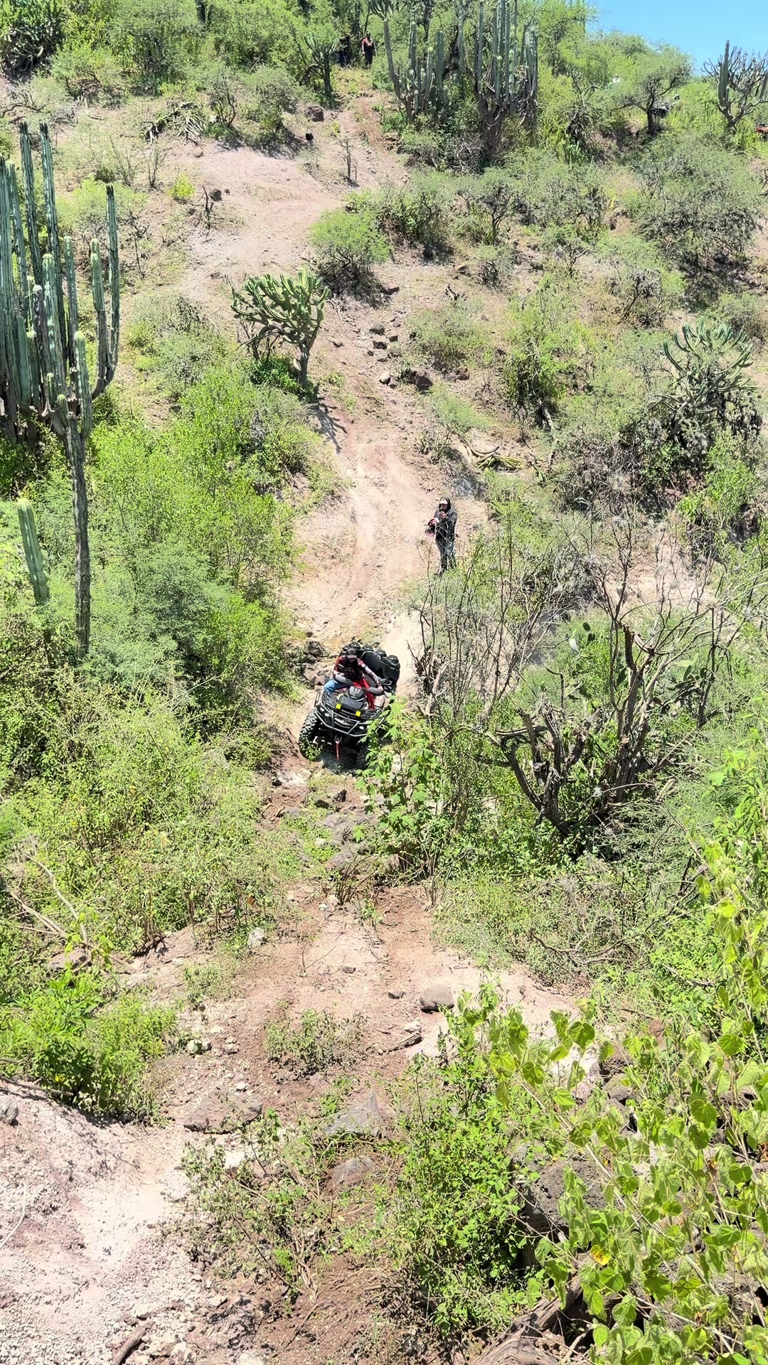 @Gonza Sober off Road