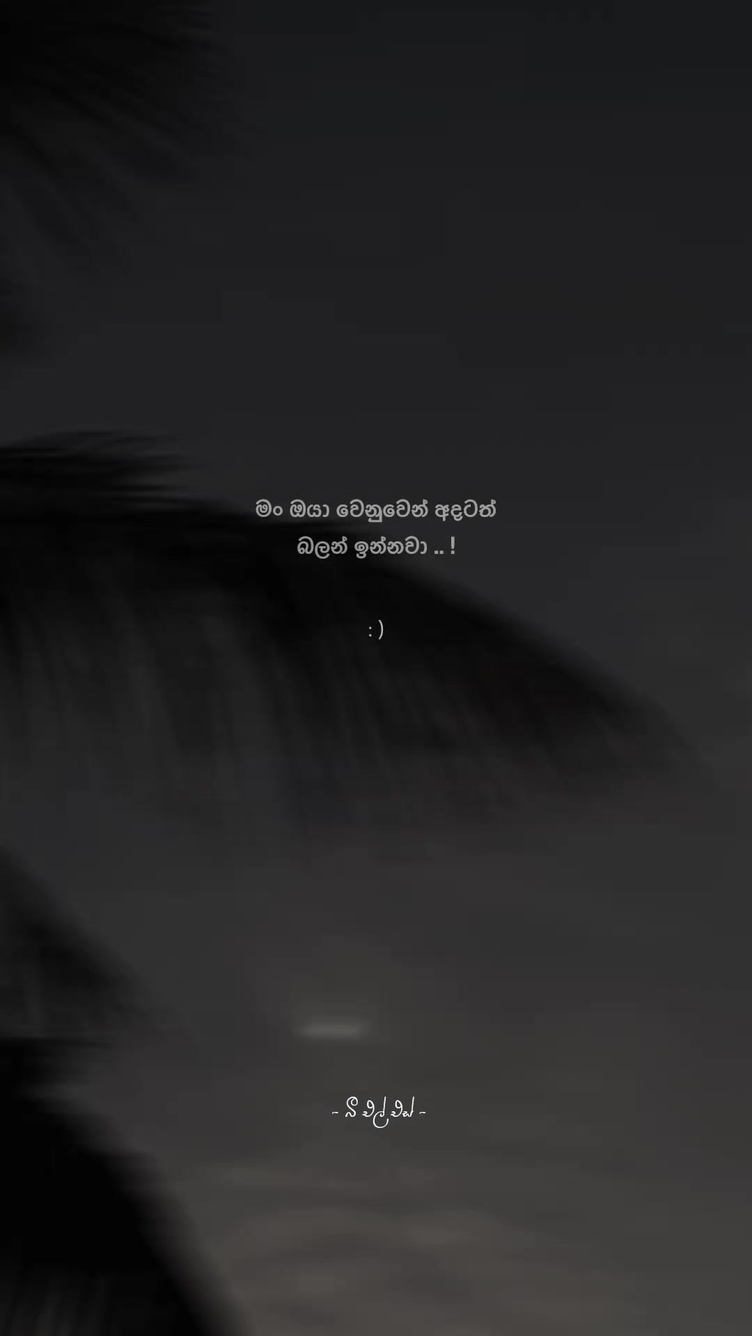 @𝒯𝒽𝑒 𝐵𝓁𝓈 ♡ !