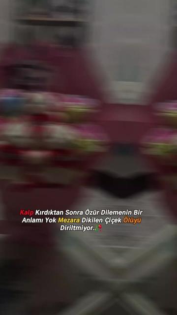 @🕊️AYNUR.D🕊️