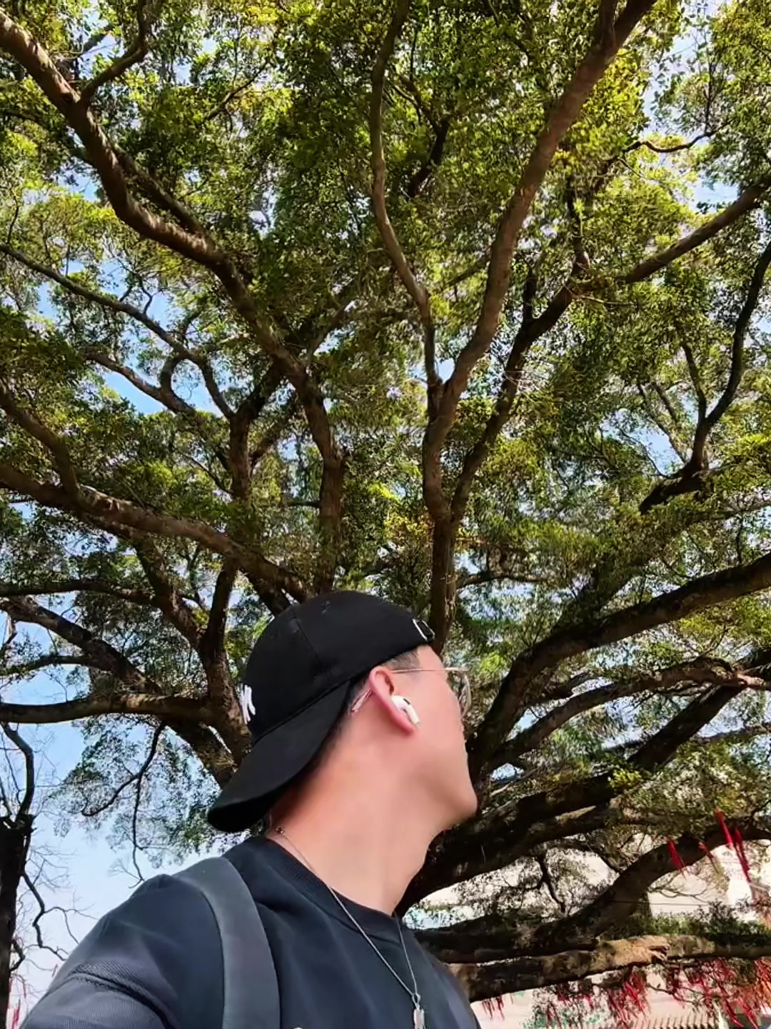 @付突突