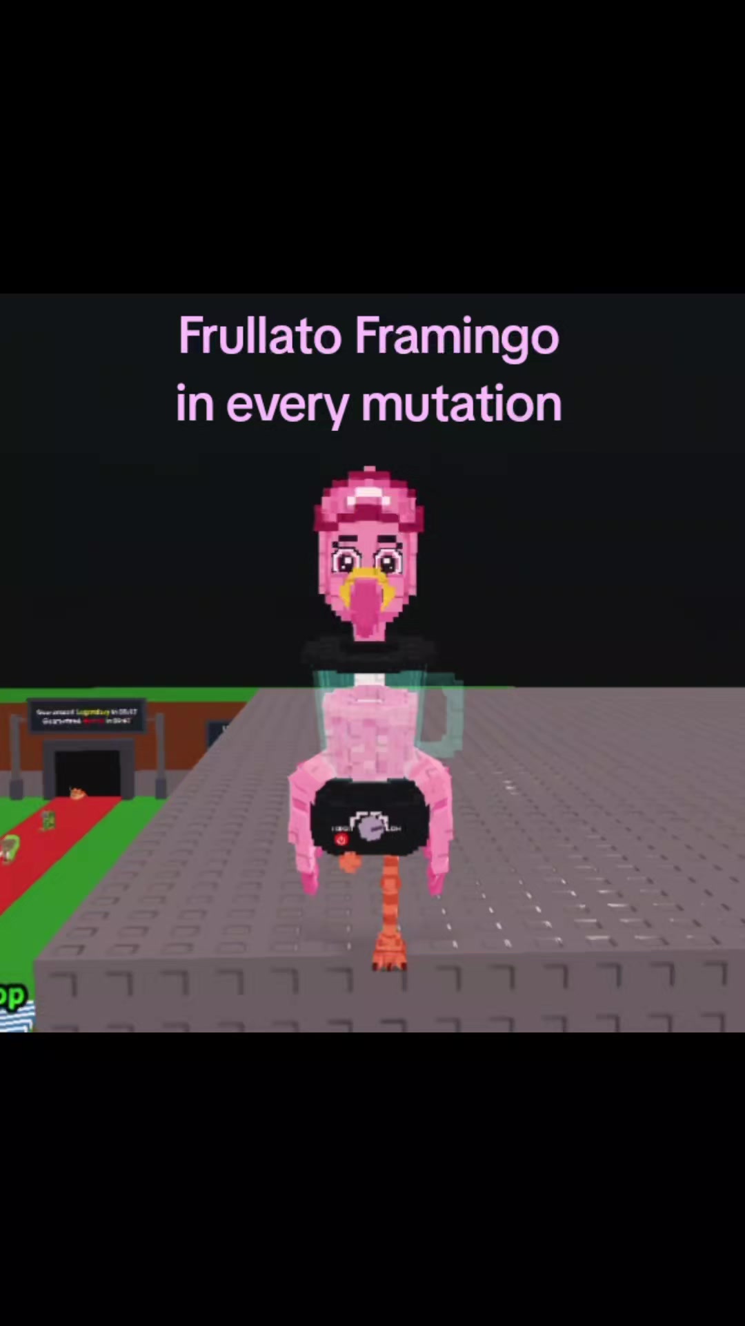 @antho