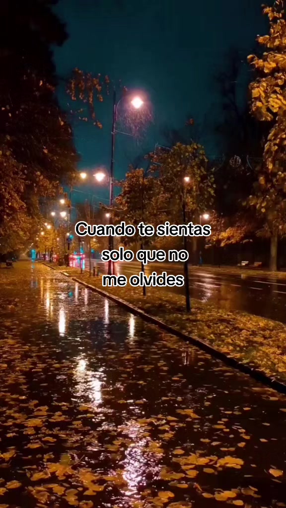 @socorro