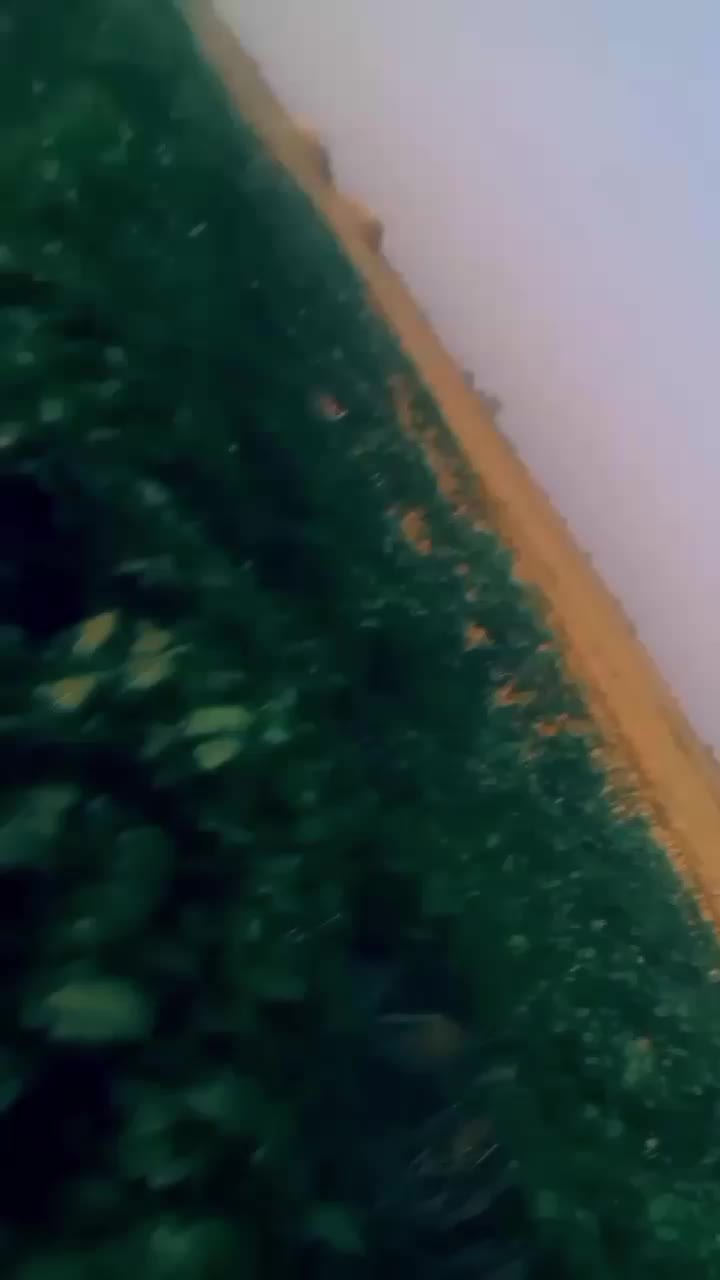 @SOHRAB Ali110