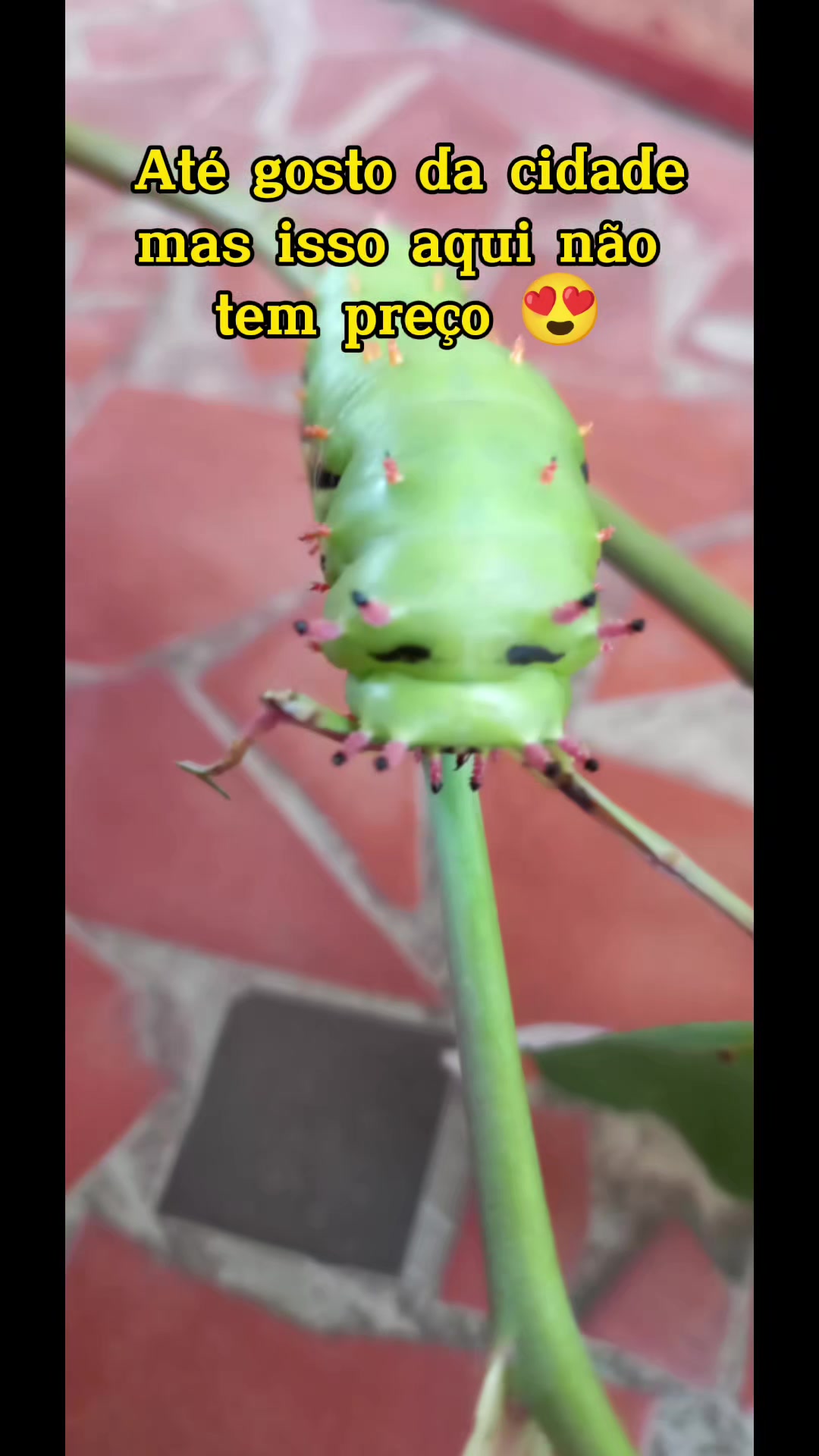 @Anne