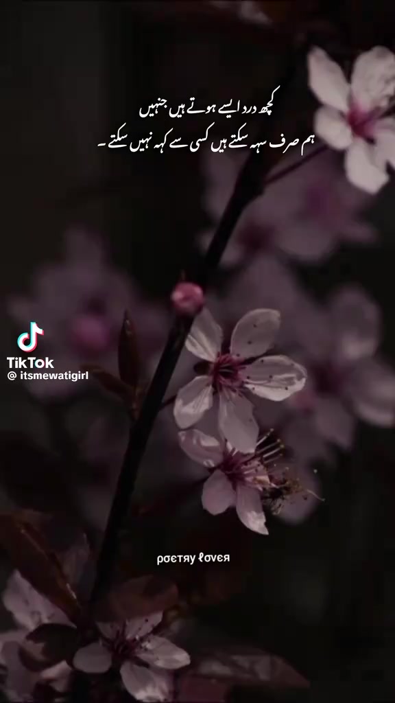 @mehwish