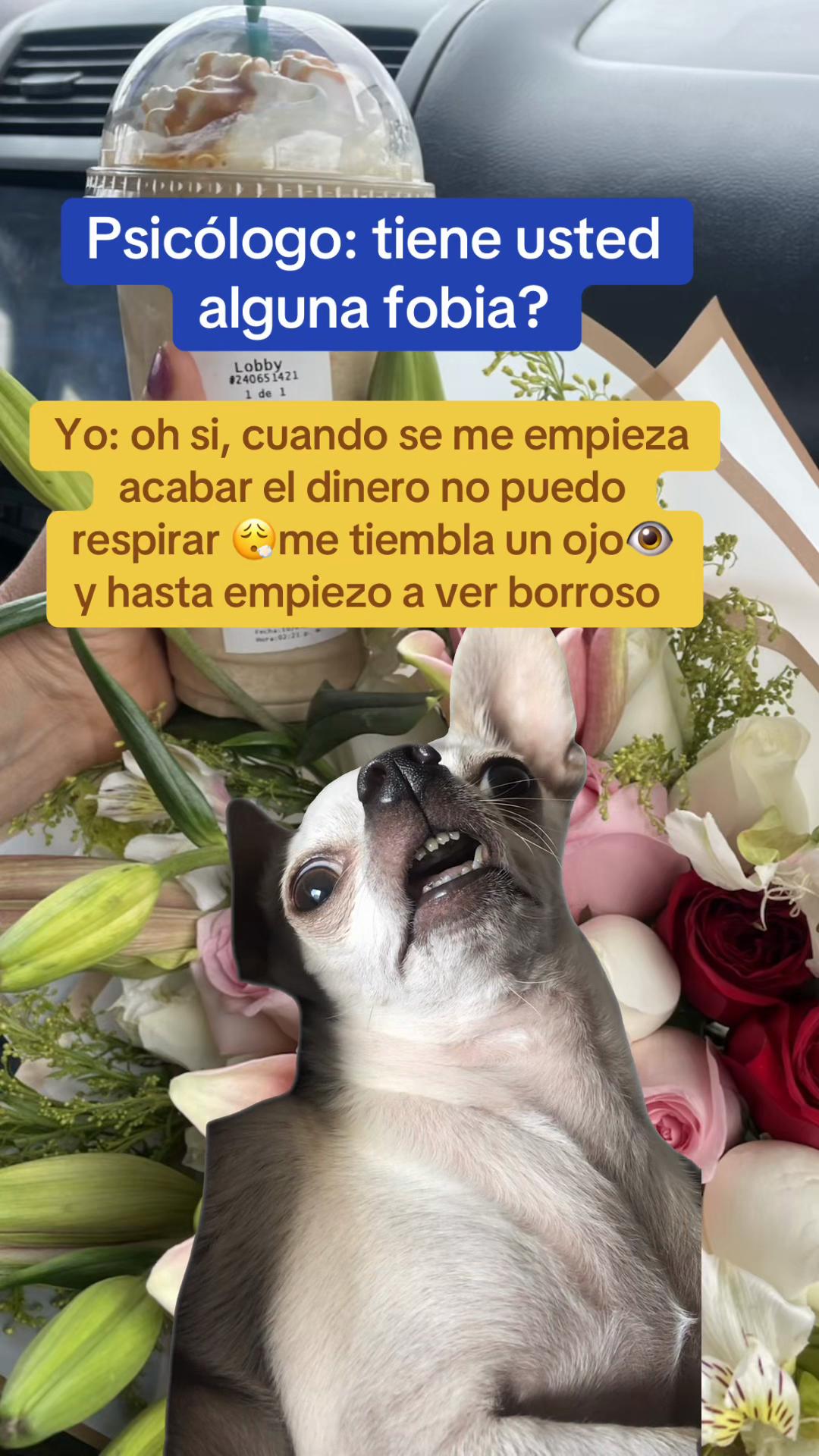 @Marl&eacute;n Barraza🐚🐉💫