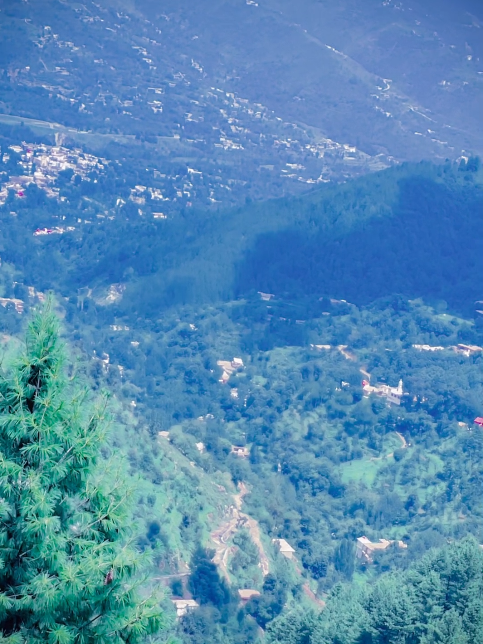 @🌲غر سنے 🌲