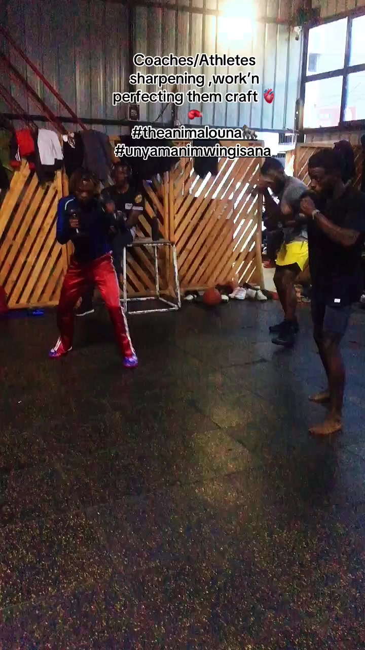 @TheAnimalOuna🦍…