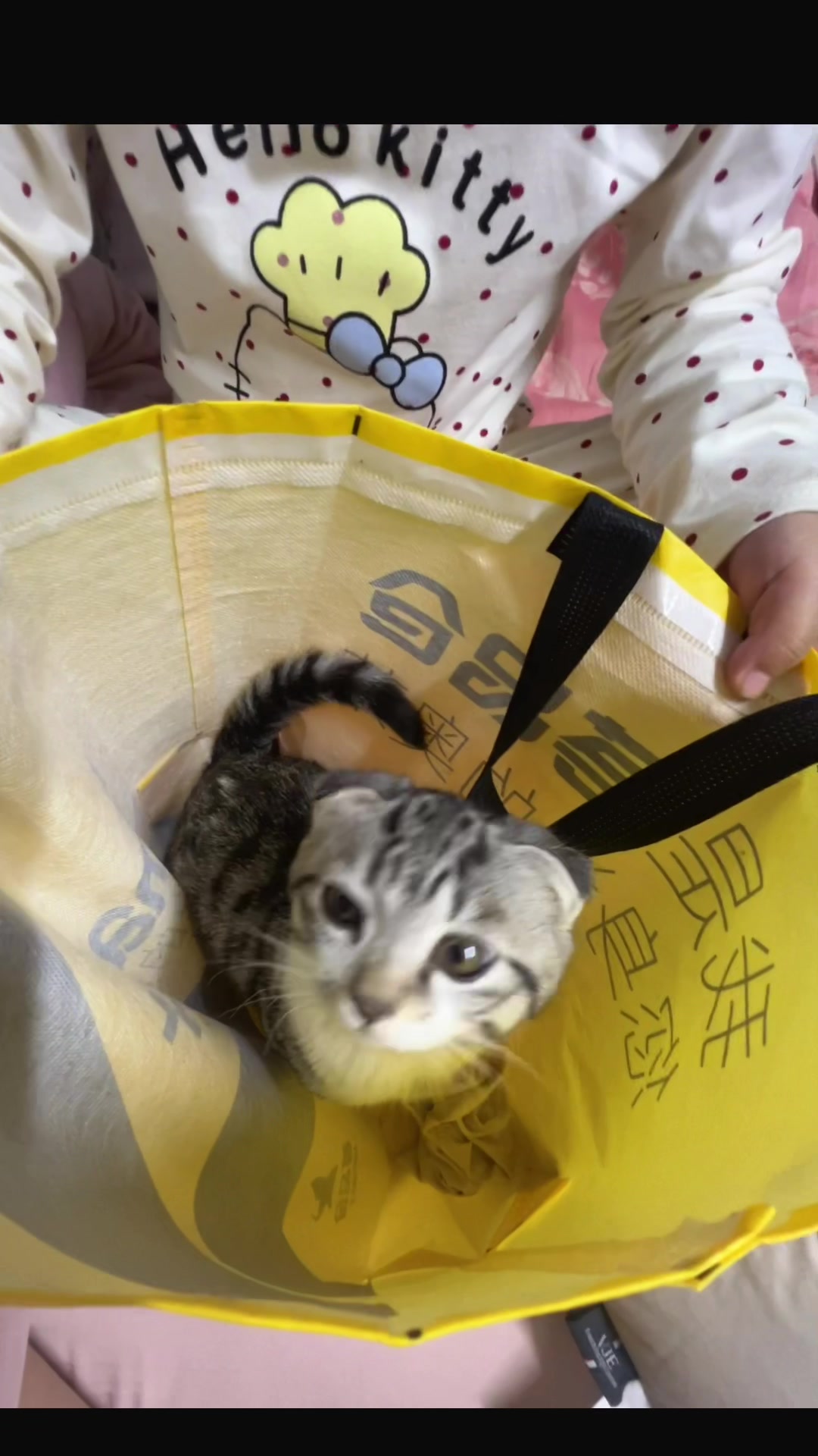 @淘气鬼